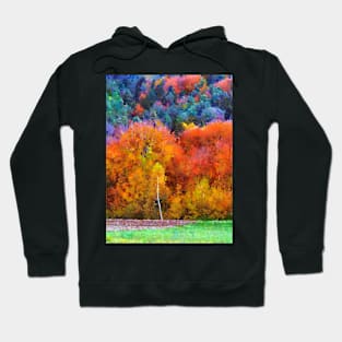 autumn in bieszczady Hoodie